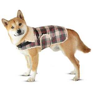 bailey and bella raincoat